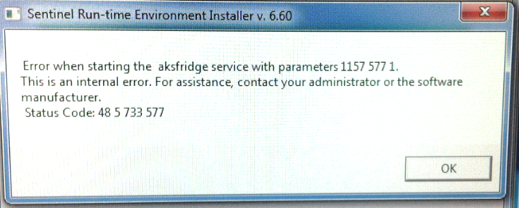 Sentinel Runtime Environment Fehlermeldung für den aksfridge Service
